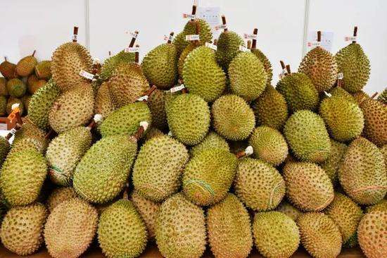 榴蓮進口報關(guān)代理服務案例，泰國馬來西亞榴蓮如何清關(guān)?
