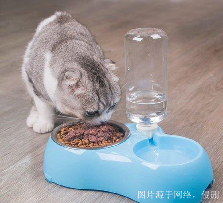 煙臺(tái)進(jìn)口尼泊爾寵物用品報(bào)關(guān)資料 煙臺(tái)進(jìn)口尼泊爾寵物用品報(bào)關(guān)資料