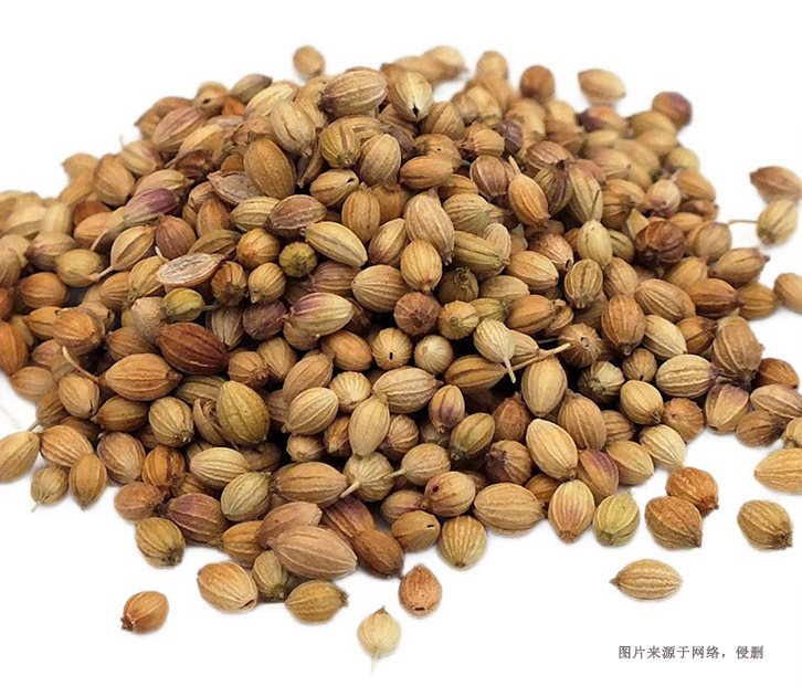 德國芫荽子進口報關資料 德國芫荽子進口報關資料