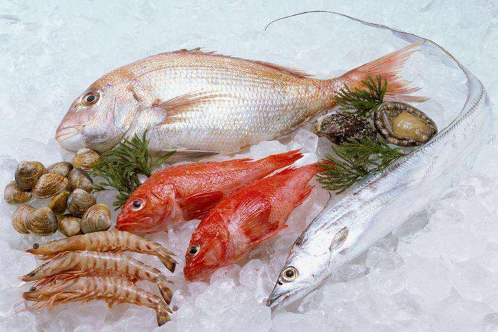 寧波進口印尼鯛魚清關資料 寧波進口印尼鯛魚清關資料