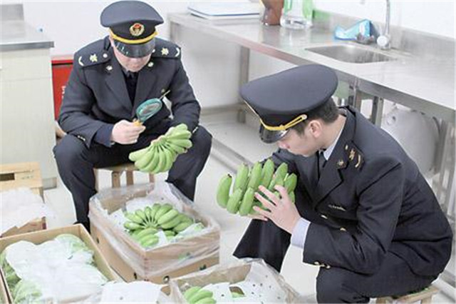 1587519869977581.jpg 越南香蕉進(jìn)口報(bào)關(guān)