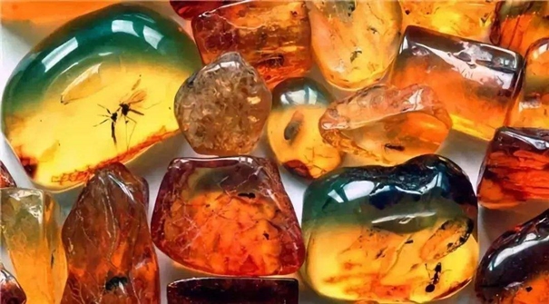 琥珀石進口報關運輸注意事項 琥珀石進口報關