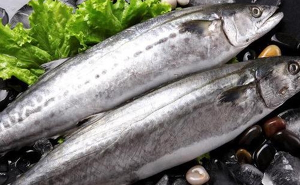 冷凍水產(chǎn)品進口報關如何辦理相關的資料 冷凍水產(chǎn)品進口報關