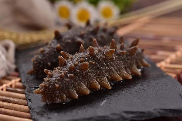 1636018673588474.jpg 海參報關(guān)行有哪些推薦_副本.jpg